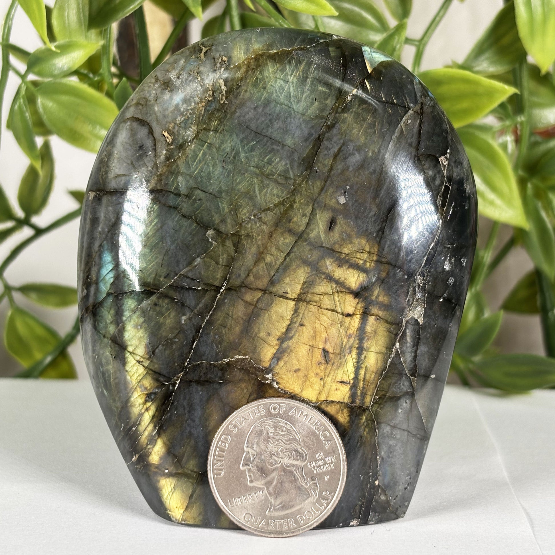 Labradorite Crystal Freeform - Gem Avenue Retail