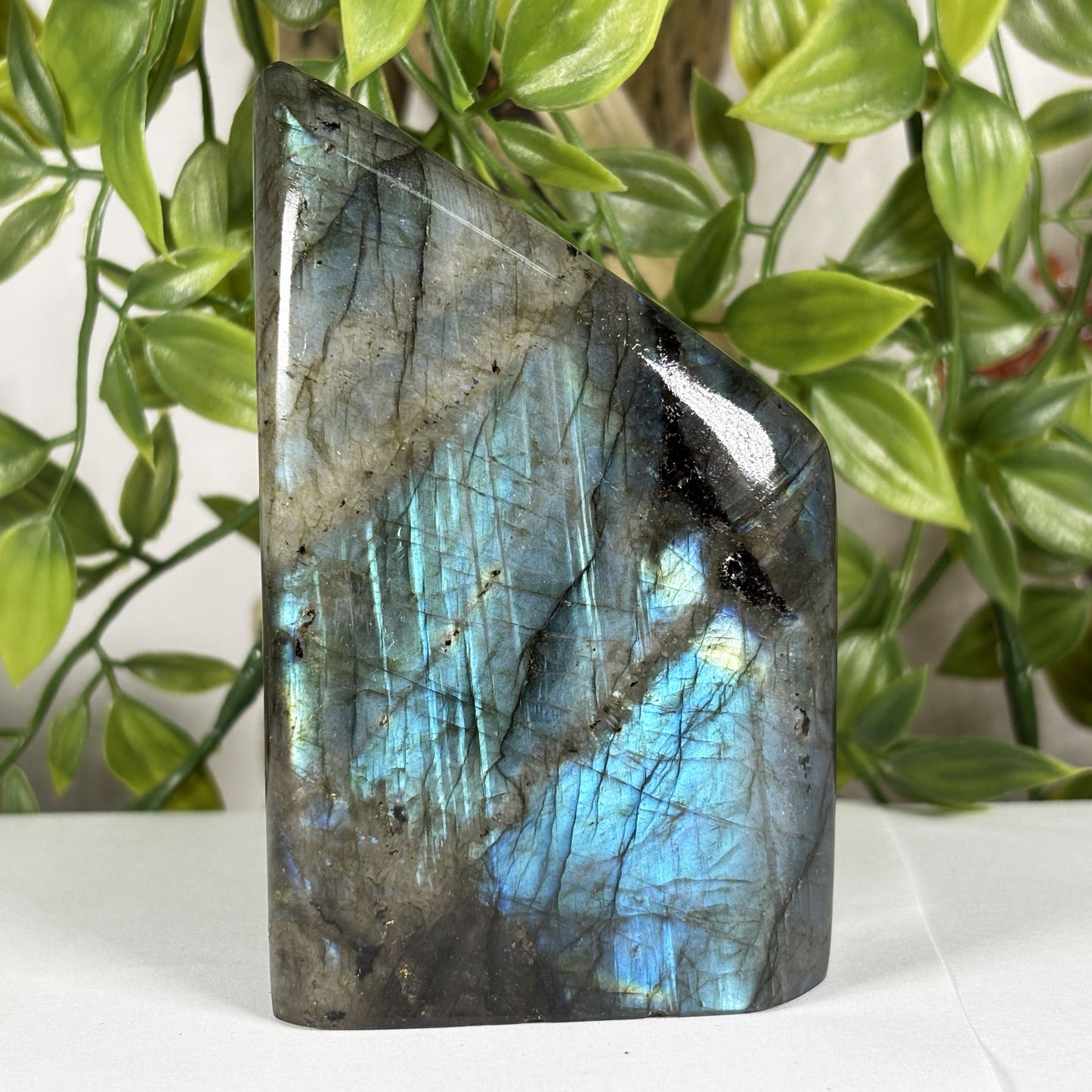 Labradorite Crystal Freeform - Gem Avenue Retail
