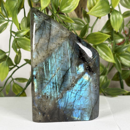 Labradorite Crystal Freeform - Gem Avenue Retail
