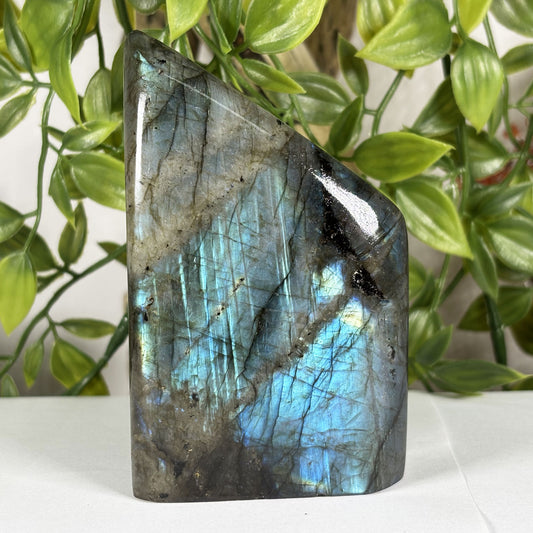 Labradorite Crystal Freeform - Gem Avenue Retail

