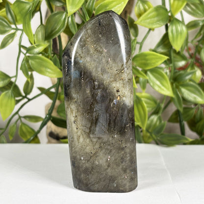 Labradorite Crystal Freeform - Gem Avenue Retail
