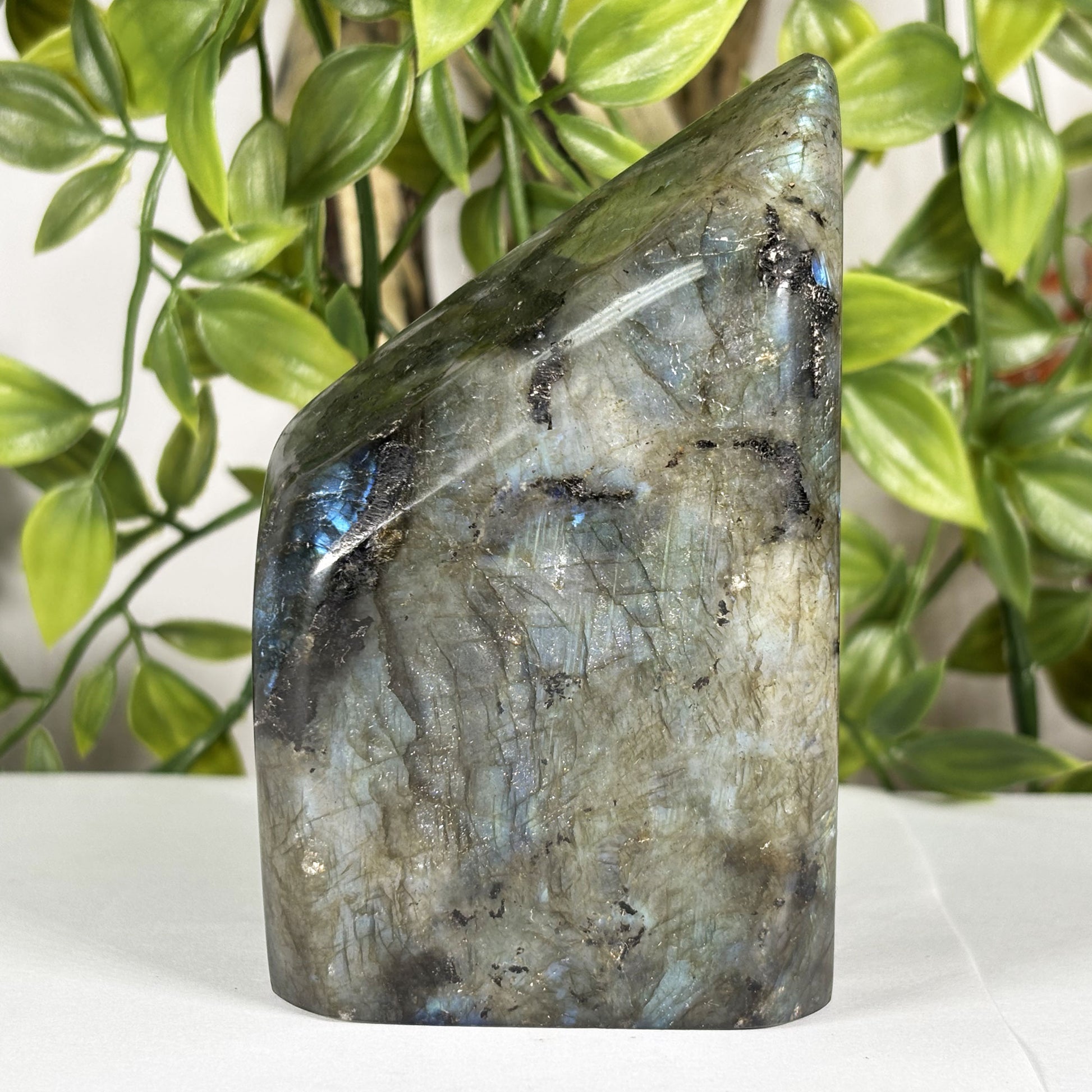 Labradorite Crystal Freeform - Gem Avenue Retail
