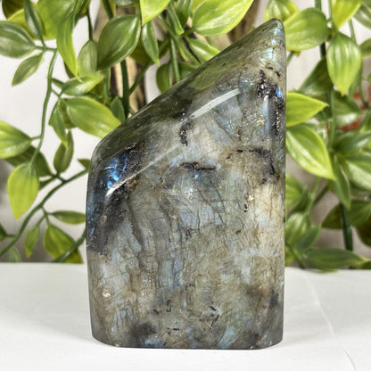 Labradorite Crystal Freeform - Gem Avenue Retail
