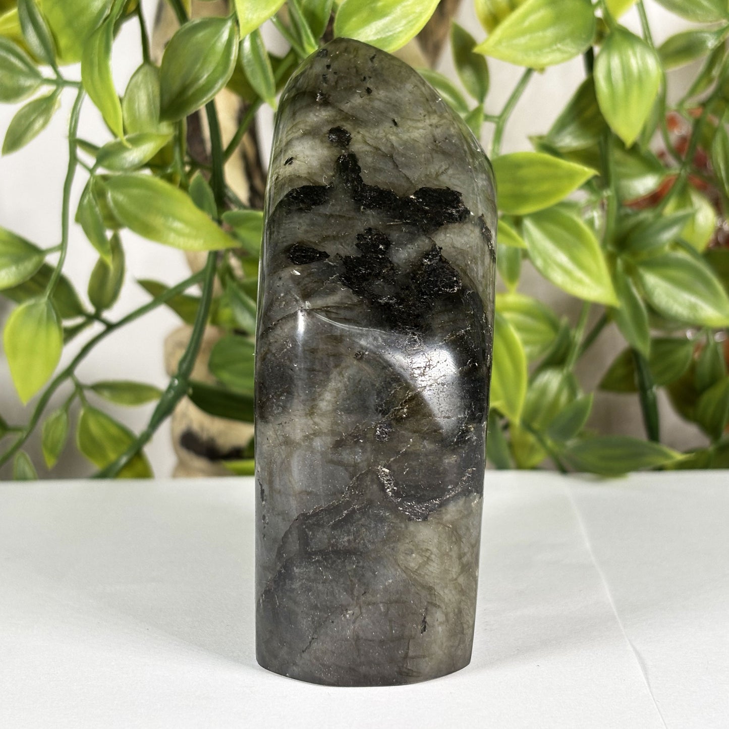 Labradorite Crystal Freeform - Gem Avenue Retail