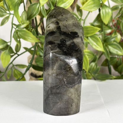 Labradorite Crystal Freeform - Gem Avenue Retail