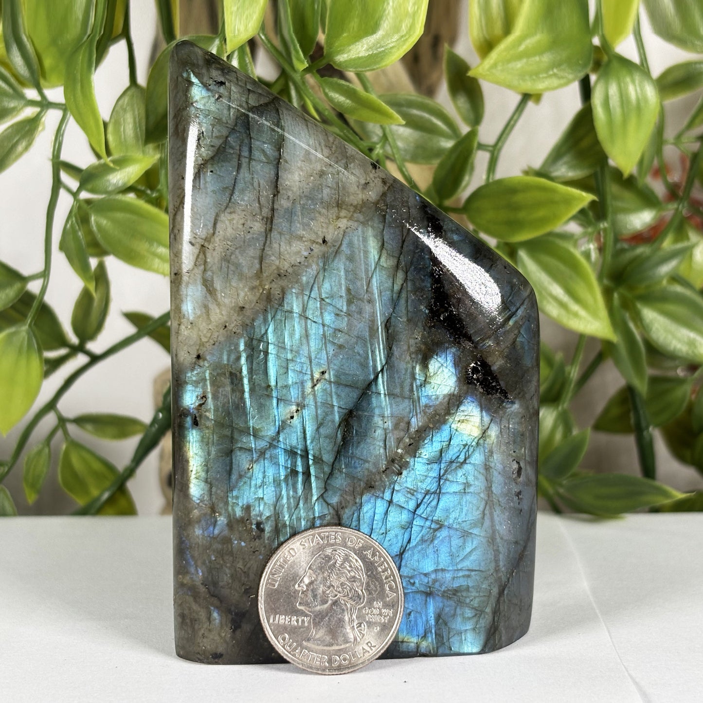 Labradorite Crystal Freeform - Gem Avenue Retail
