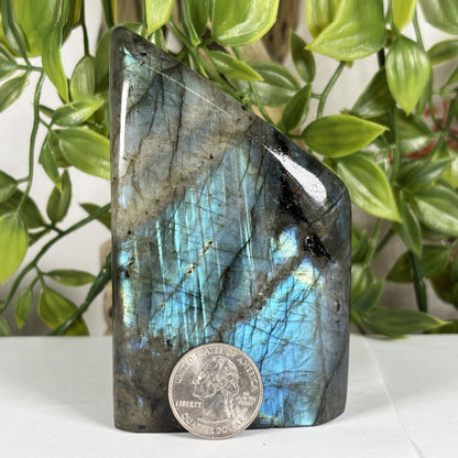 Labradorite Crystal Freeform - Gem Avenue Retail
