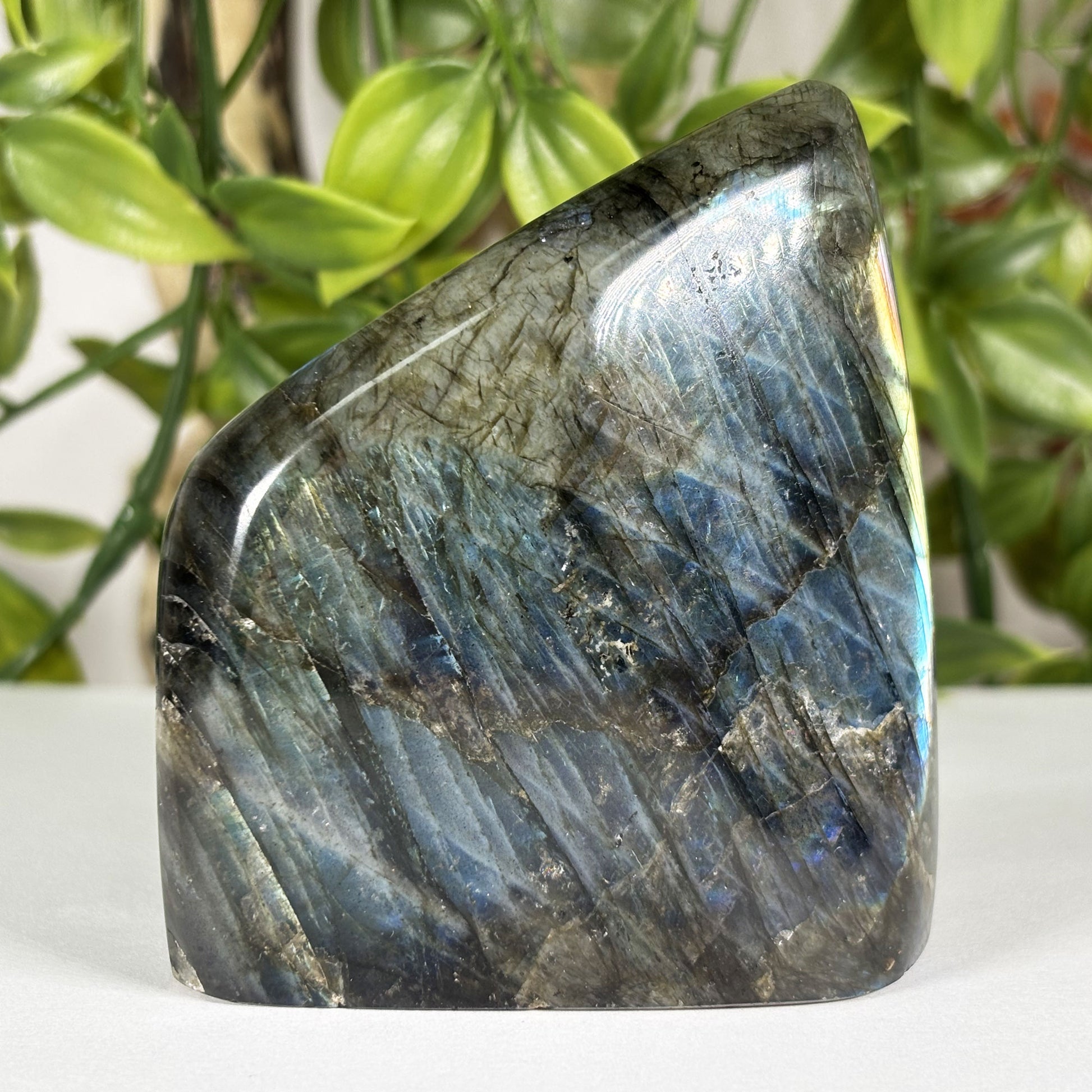 Labradorite Crystal Freeform - Gem Avenue Retail