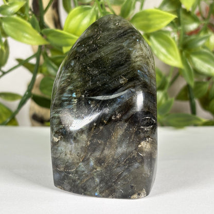 Labradorite Crystal Freeform - Gem Avenue Retail