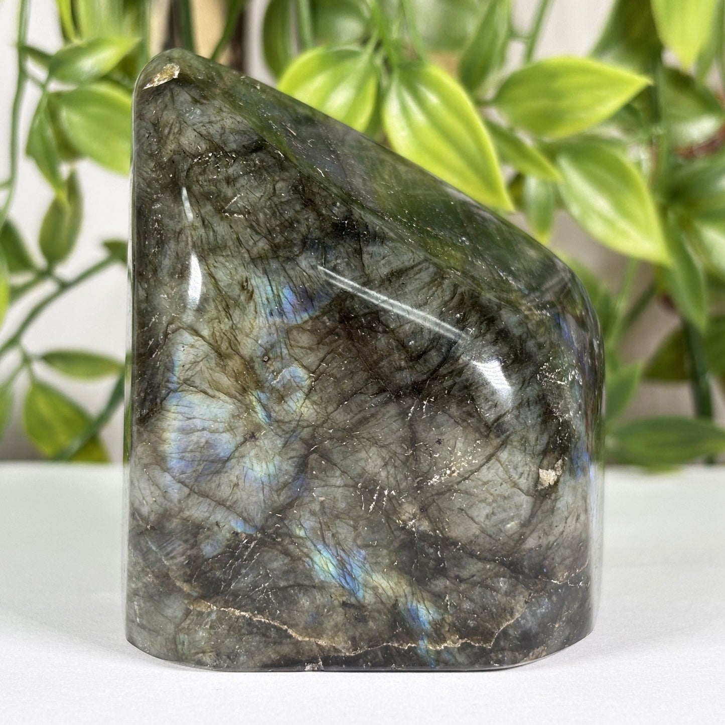 Labradorite Crystal Freeform - Gem Avenue Retail