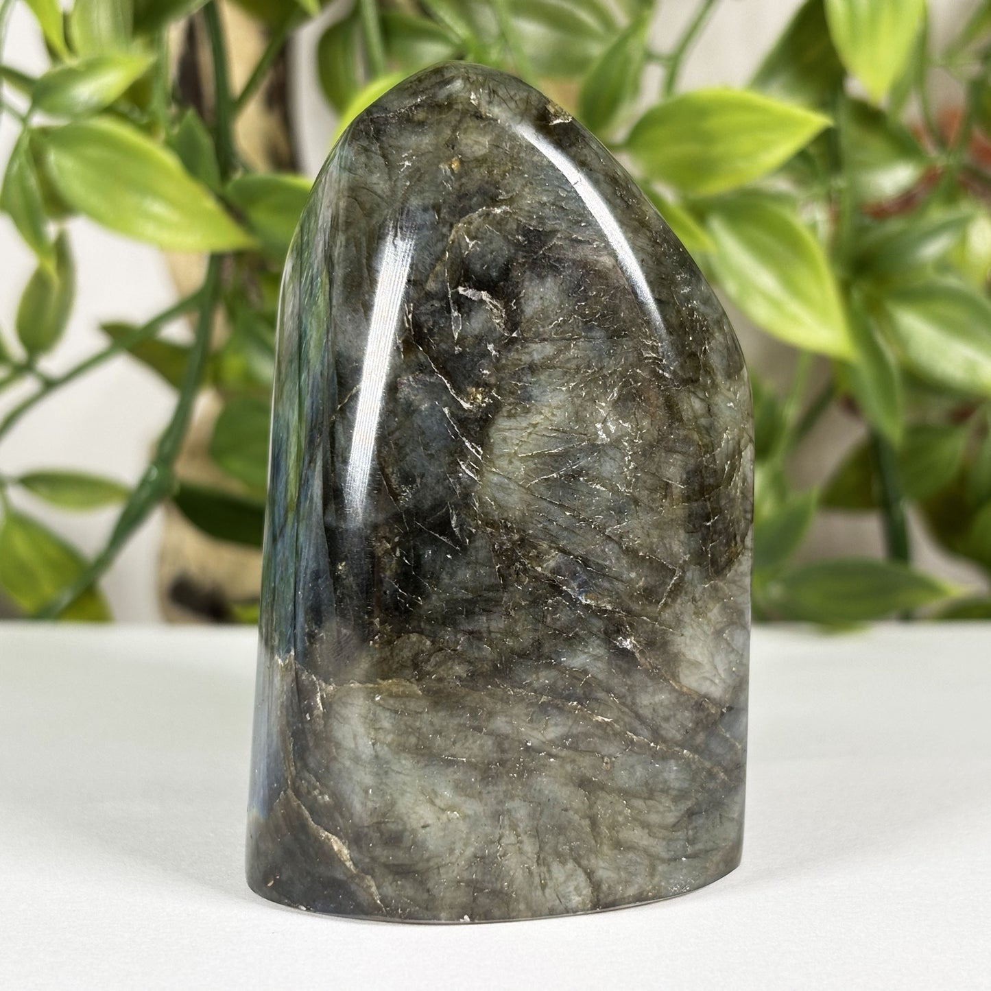 Labradorite Crystal Freeform - Gem Avenue Retail