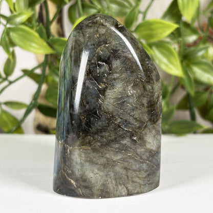 Labradorite Crystal Freeform - Gem Avenue Retail