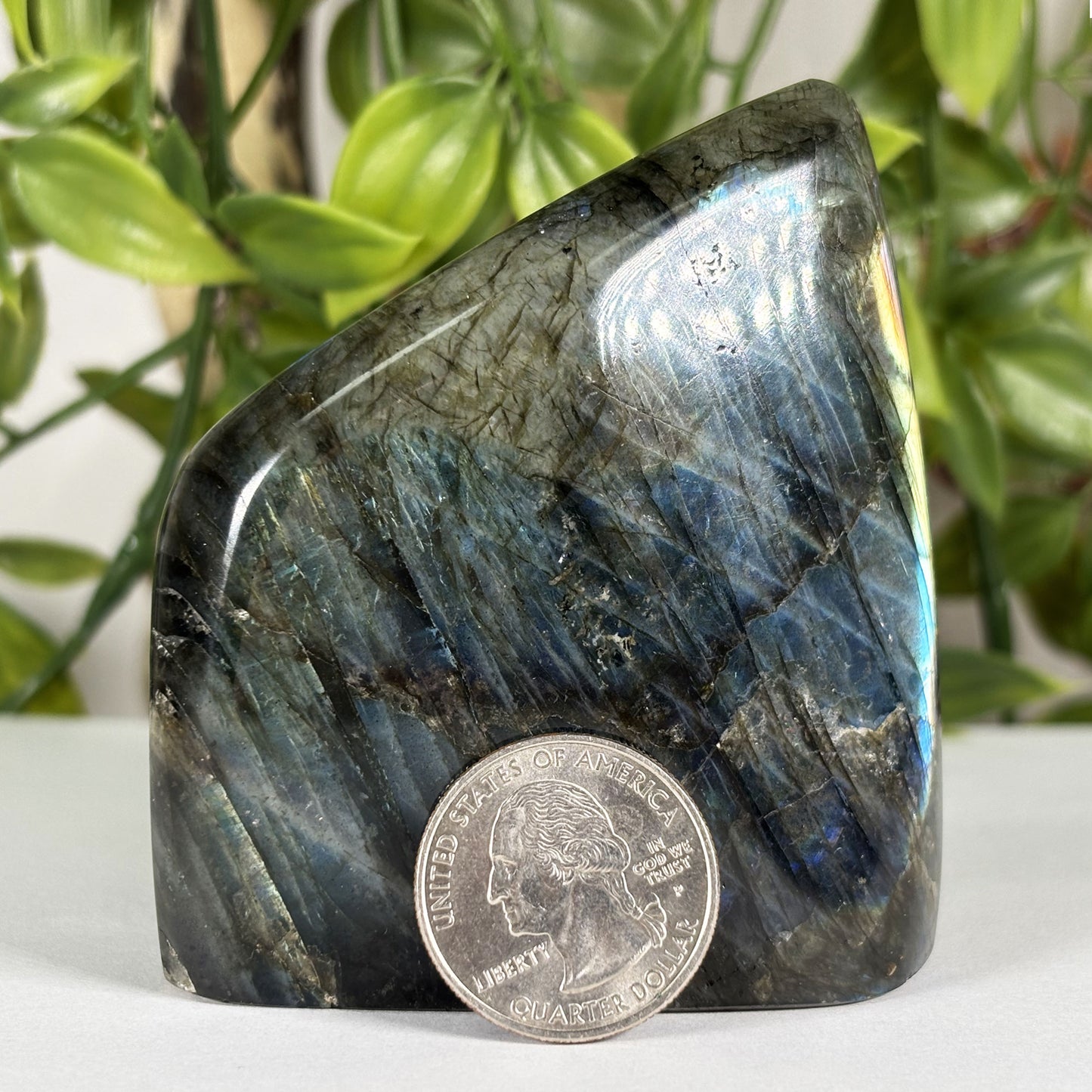 Labradorite Crystal Freeform - Gem Avenue Retail