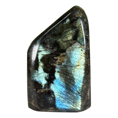 Polished Labradorite Freeform 3.25" Madagascar Crystal with Gold & Blue Flash