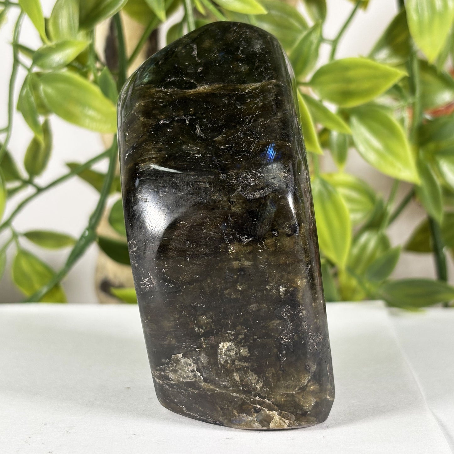 Polished Labradorite Freeform 3.25" Madagascar Crystal with Gold & Blue Flash