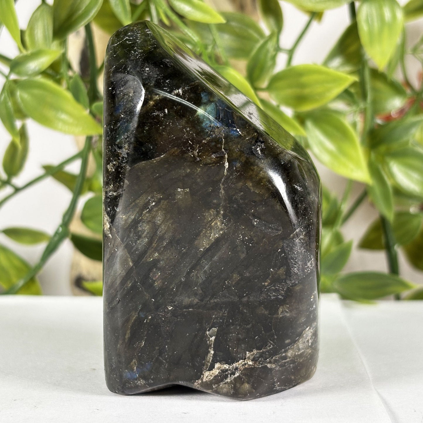 Polished Labradorite Freeform 3.25" Madagascar Crystal with Gold & Blue Flash