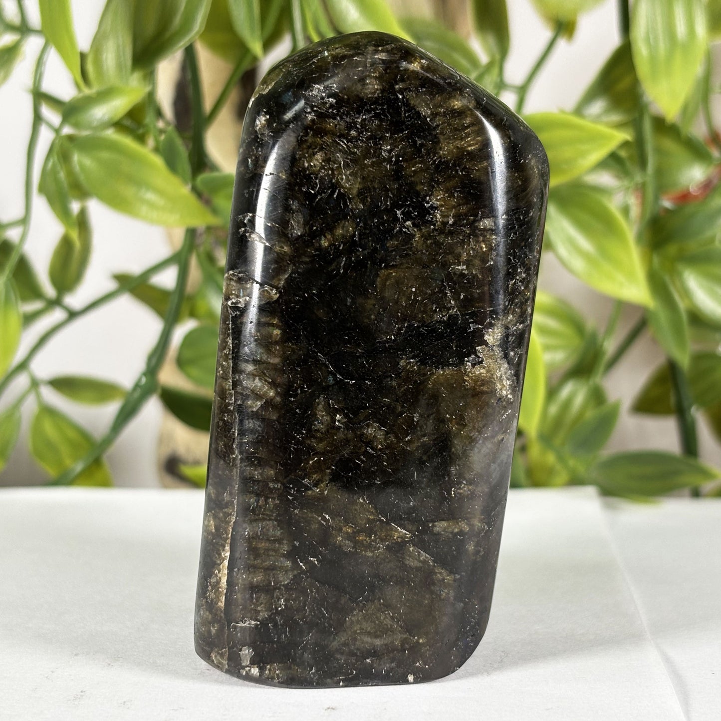 Polished Labradorite Freeform 3.25" Madagascar Crystal with Gold & Blue Flash