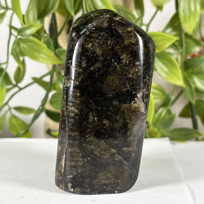 Polished Labradorite Freeform 3.25" Madagascar Crystal with Gold & Blue Flash