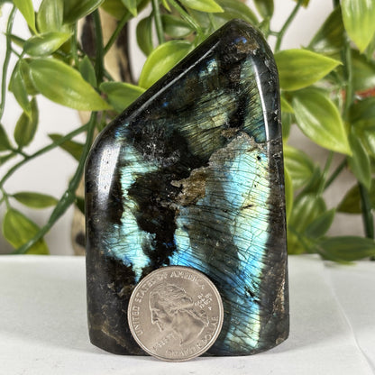 Polished Labradorite Freeform 3.25" Madagascar Crystal with Gold & Blue Flash