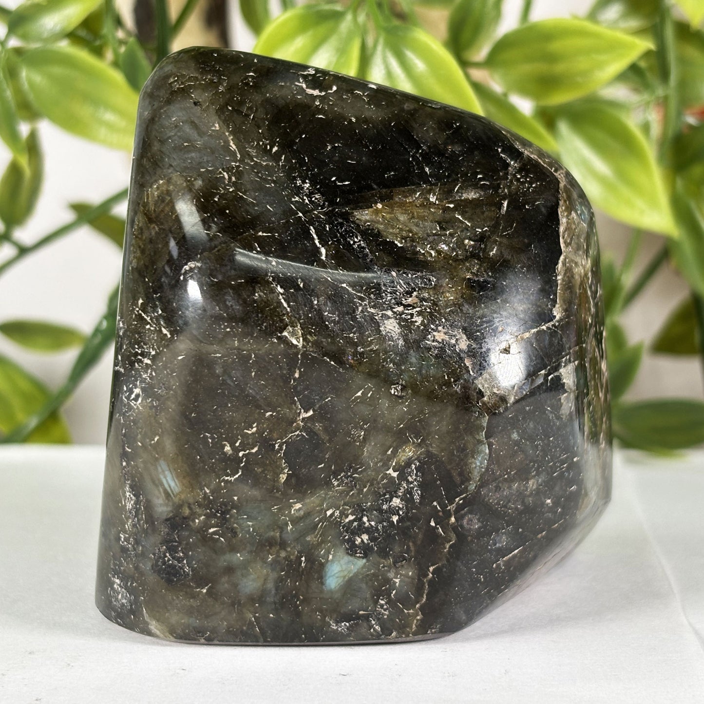 Polished Labradorite Freeform 3" Flashy Blue Fire Madagascar Crystal Display Specimen