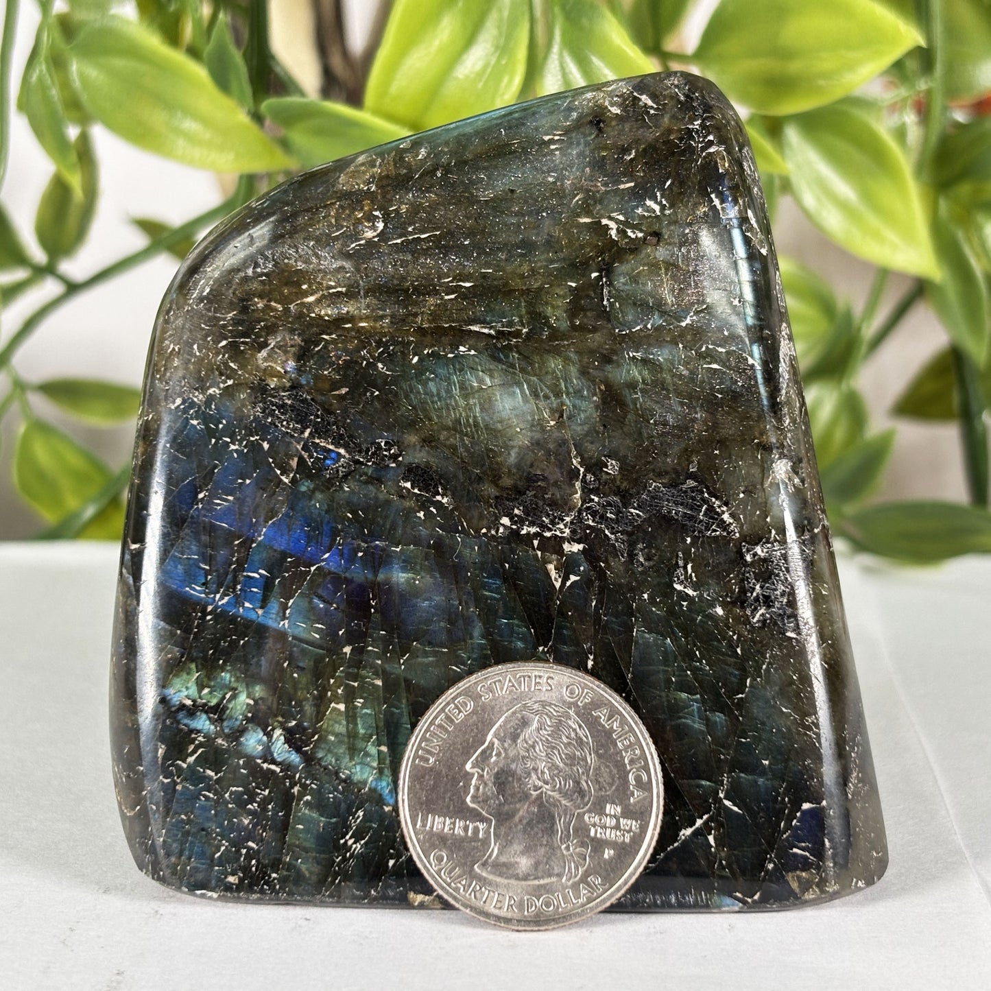 Polished Labradorite Freeform 3" Flashy Blue Fire Madagascar Crystal Display Specimen