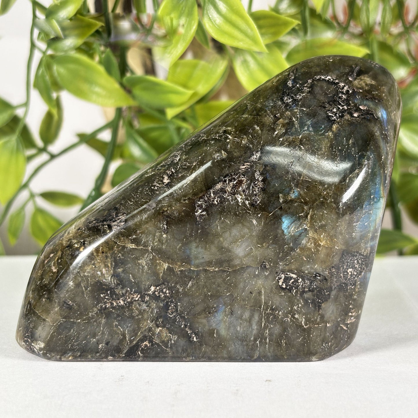 Polished Labradorite Freeform 4" Blue Flash Madagascar Crystal Display Specimen