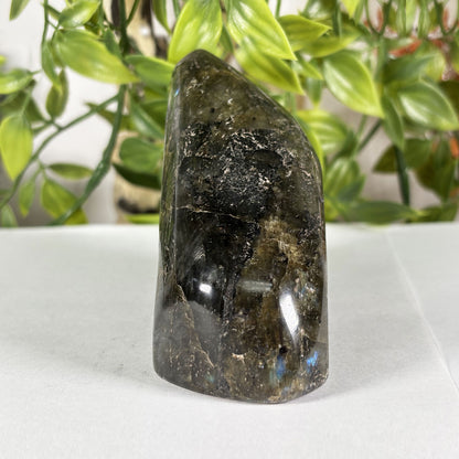 Polished Labradorite Freeform 4" Blue Flash Madagascar Crystal Display Specimen