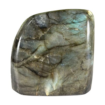 Polished Labradorite Freeform 2.75" Blue Flash Madagascar Crystal Display Specimen
