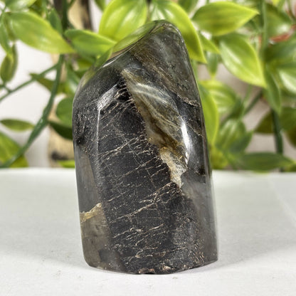 Polished Labradorite Freeform 2.75" Blue Flash Madagascar Crystal Display Specimen