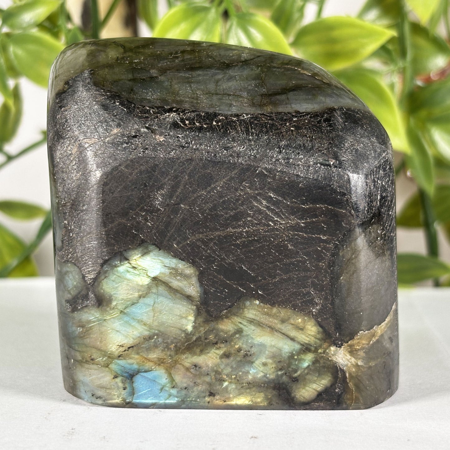 Polished Labradorite Freeform 2.75" Blue Flash Madagascar Crystal Display Specimen