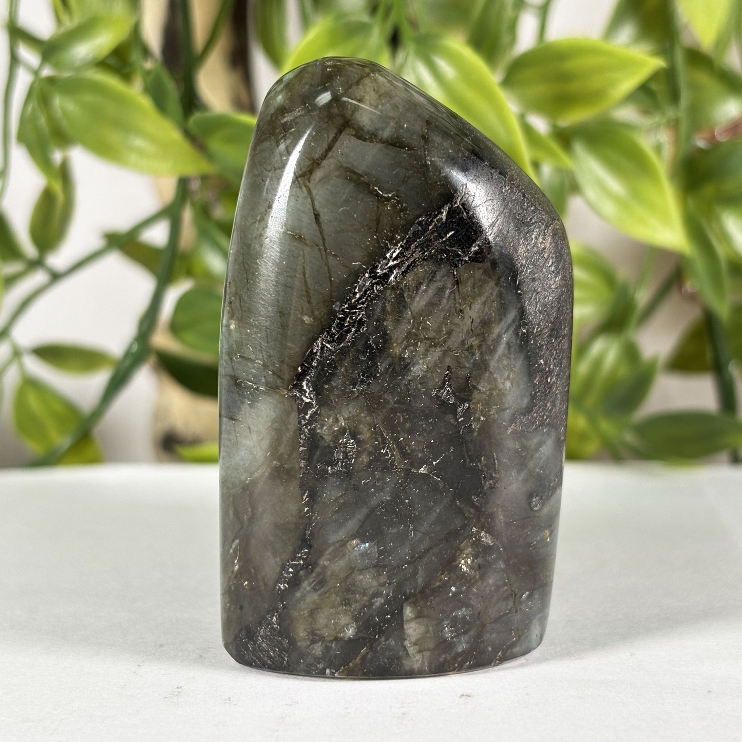 Polished Labradorite Freeform 2.75" Blue Flash Madagascar Crystal Display Specimen