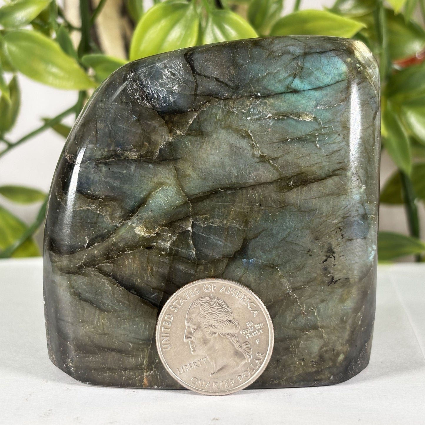 Polished Labradorite Freeform 2.75" Blue Flash Madagascar Crystal Display Specimen