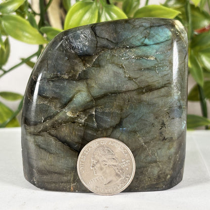 Polished Labradorite Freeform 2.75" Blue Flash Madagascar Crystal Display Specimen