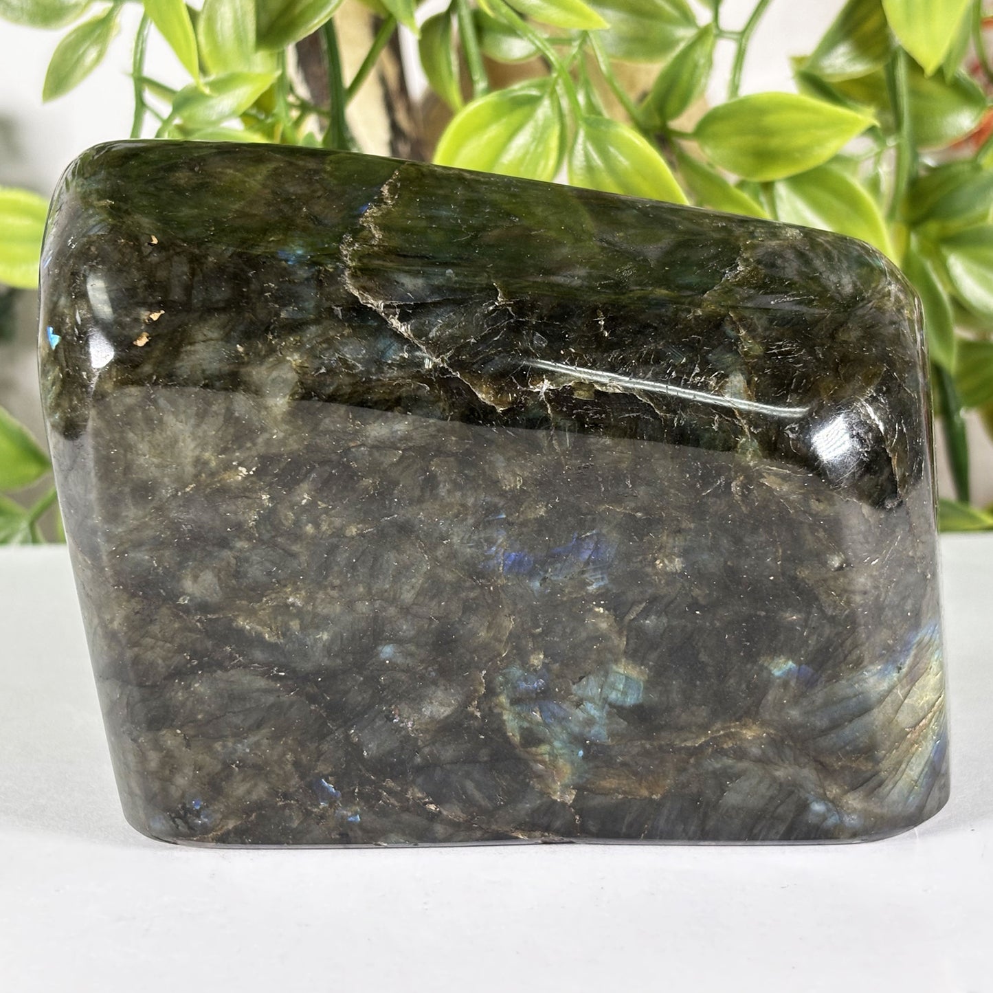 Polished Labradorite Freeform 4" Blue Gold Flash Madagascar Crystal Display Specimen