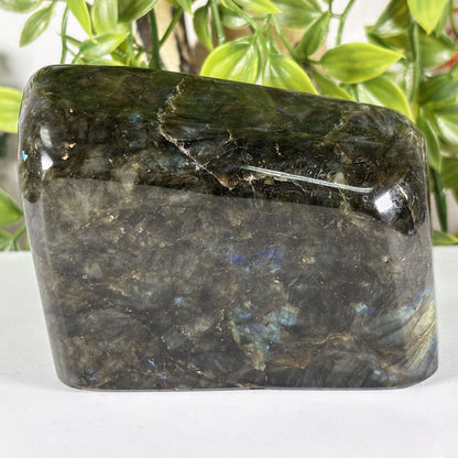 Polished Labradorite Freeform 4" Blue Gold Flash Madagascar Crystal Display Specimen