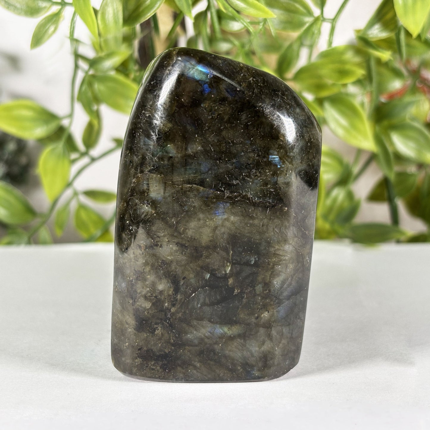 Polished Labradorite Freeform 4" Blue Gold Flash Madagascar Crystal Display Specimen