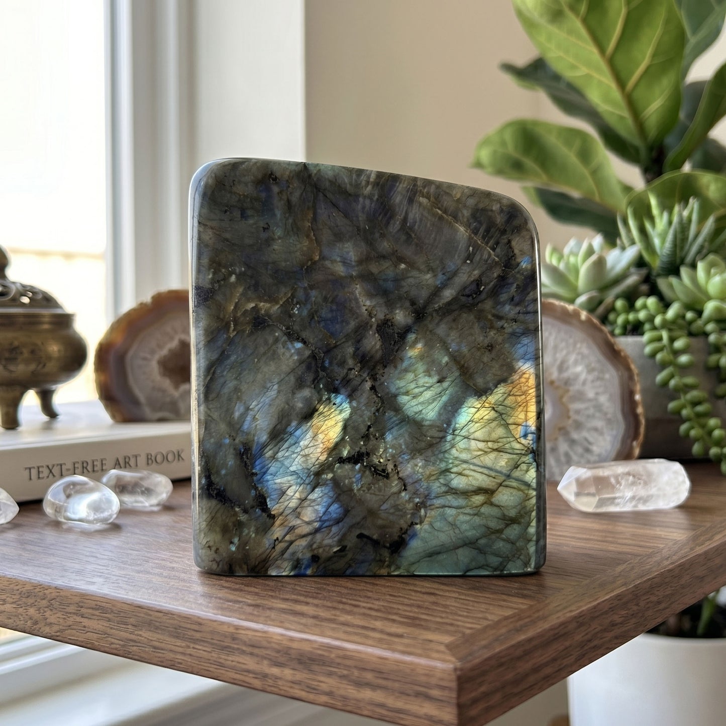 Polished Labradorite Freeform 4.5" Blue Flash Madagascar Crystal Display Specimen