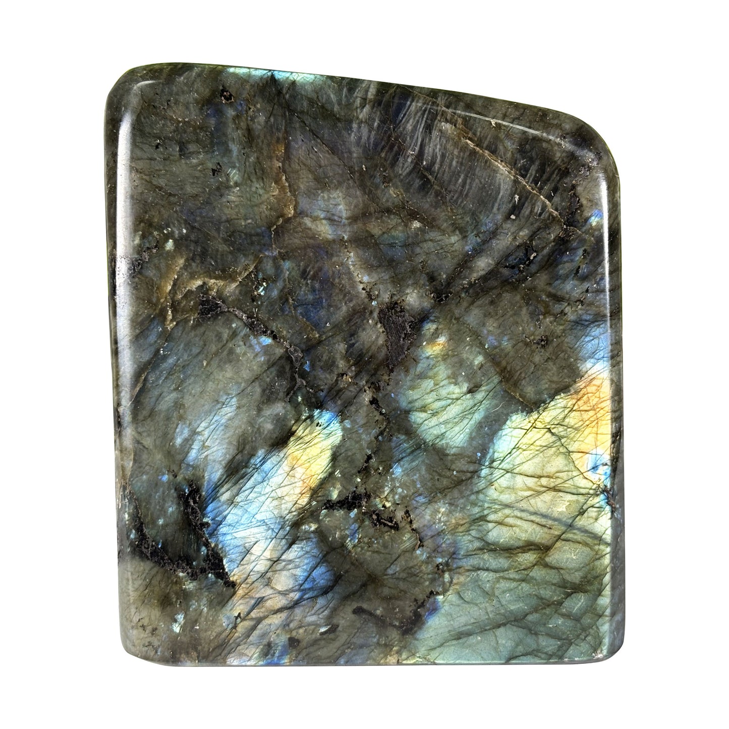 Polished Labradorite Freeform 4.5" Blue Flash Madagascar Crystal Display Specimen