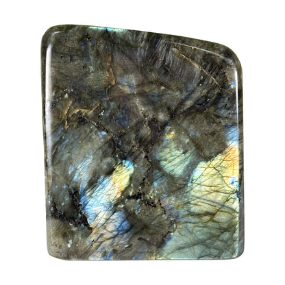 Polished Labradorite Freeform 4.5" Blue Flash Madagascar Crystal Display Specimen