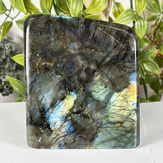 Polished Labradorite Freeform 4.5" Blue Flash Madagascar Crystal Display Specimen