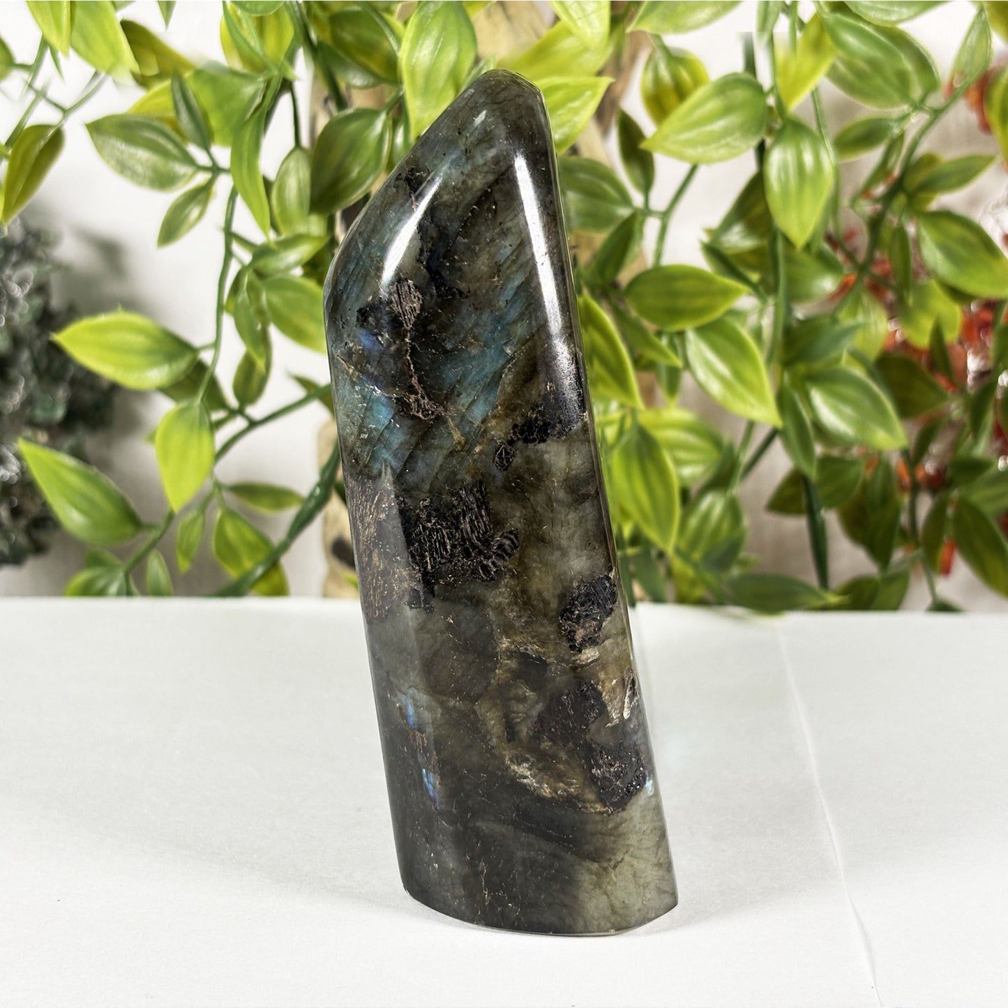 Polished Labradorite Freeform 4.5" Blue Flash Madagascar Crystal Display Specimen