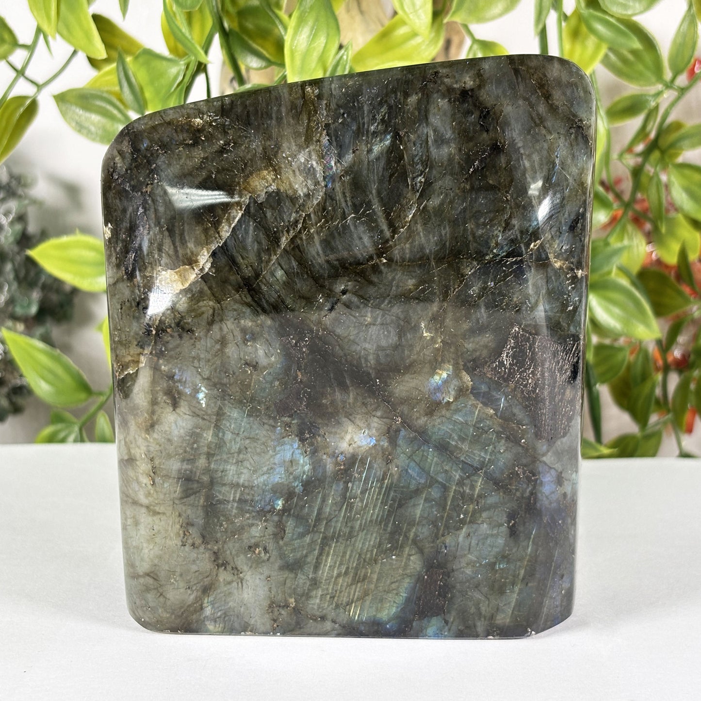 Polished Labradorite Freeform 4.5" Blue Flash Madagascar Crystal Display Specimen