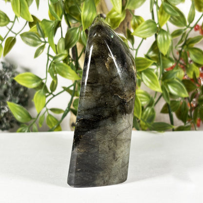 Polished Labradorite Freeform 4.5" Blue Flash Madagascar Crystal Display Specimen