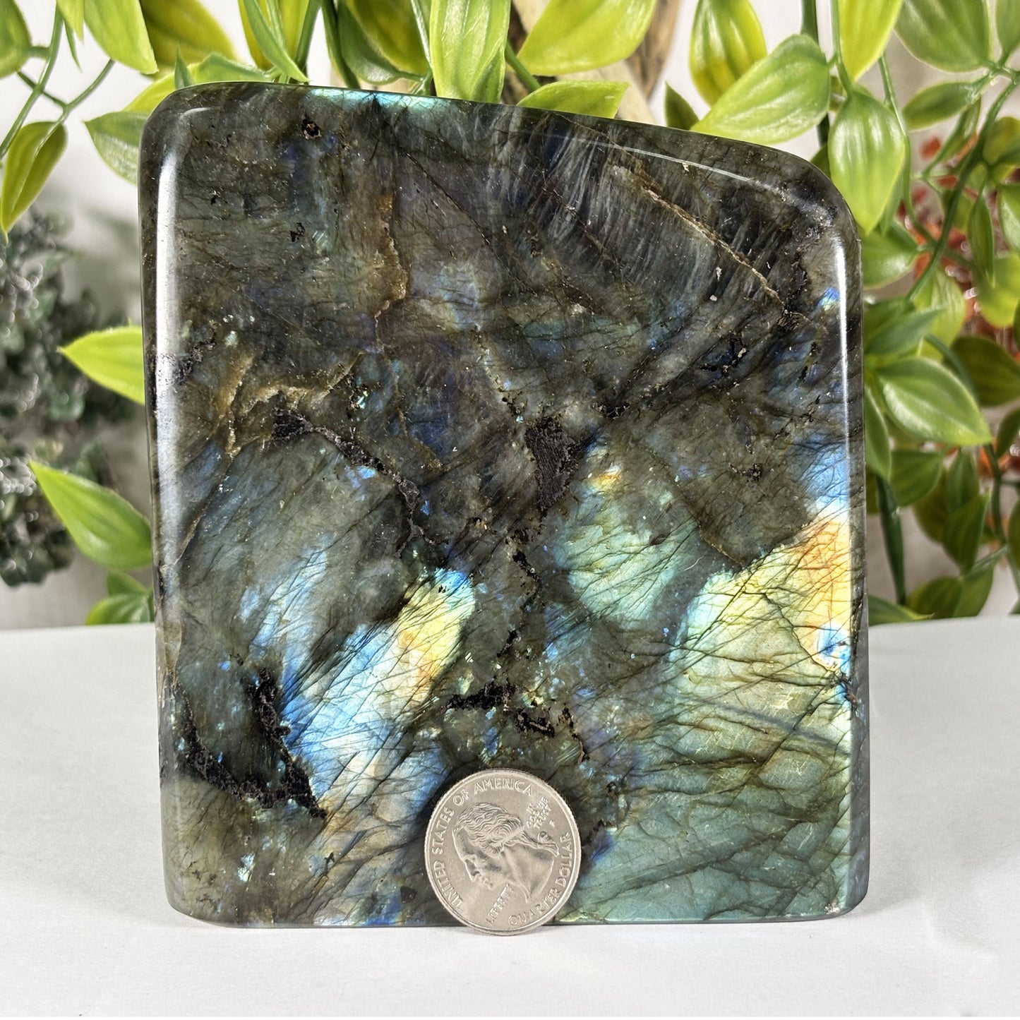 Polished Labradorite Freeform 4.5" Blue Flash Madagascar Crystal Display Specimen