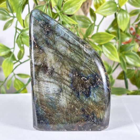 Madagascar Labradorite Freeform 3.75" Polished Crystal Stone Blue Flash Display Specimen