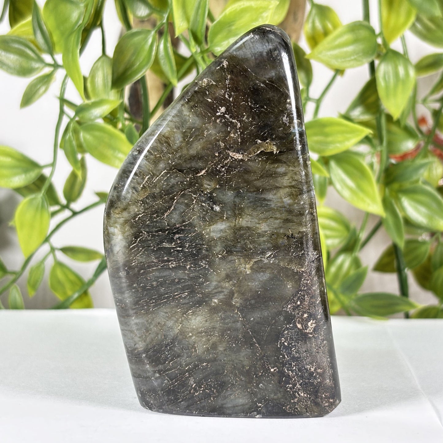 Madagascar Labradorite Freeform 3.75" Polished Crystal Stone Blue Flash Display Specimen