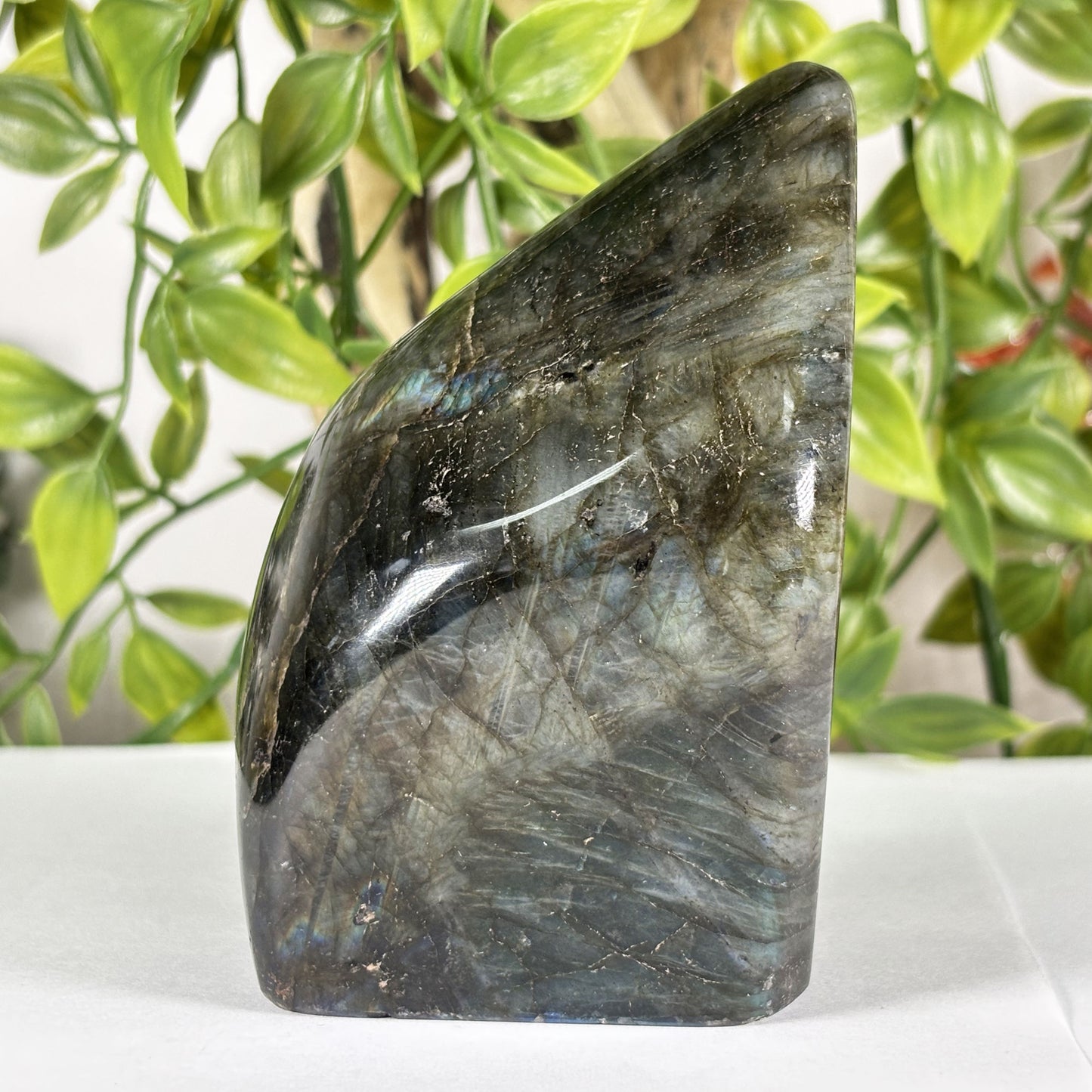 Madagascar Labradorite Freeform 3.75" Polished Crystal Stone Blue Flash Display Specimen