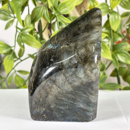 Madagascar Labradorite Freeform 3.75" Polished Crystal Stone Blue Flash Display Specimen
