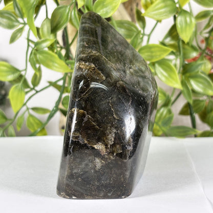 Madagascar Labradorite Freeform 3.75" Polished Crystal Stone Blue Flash Display Specimen