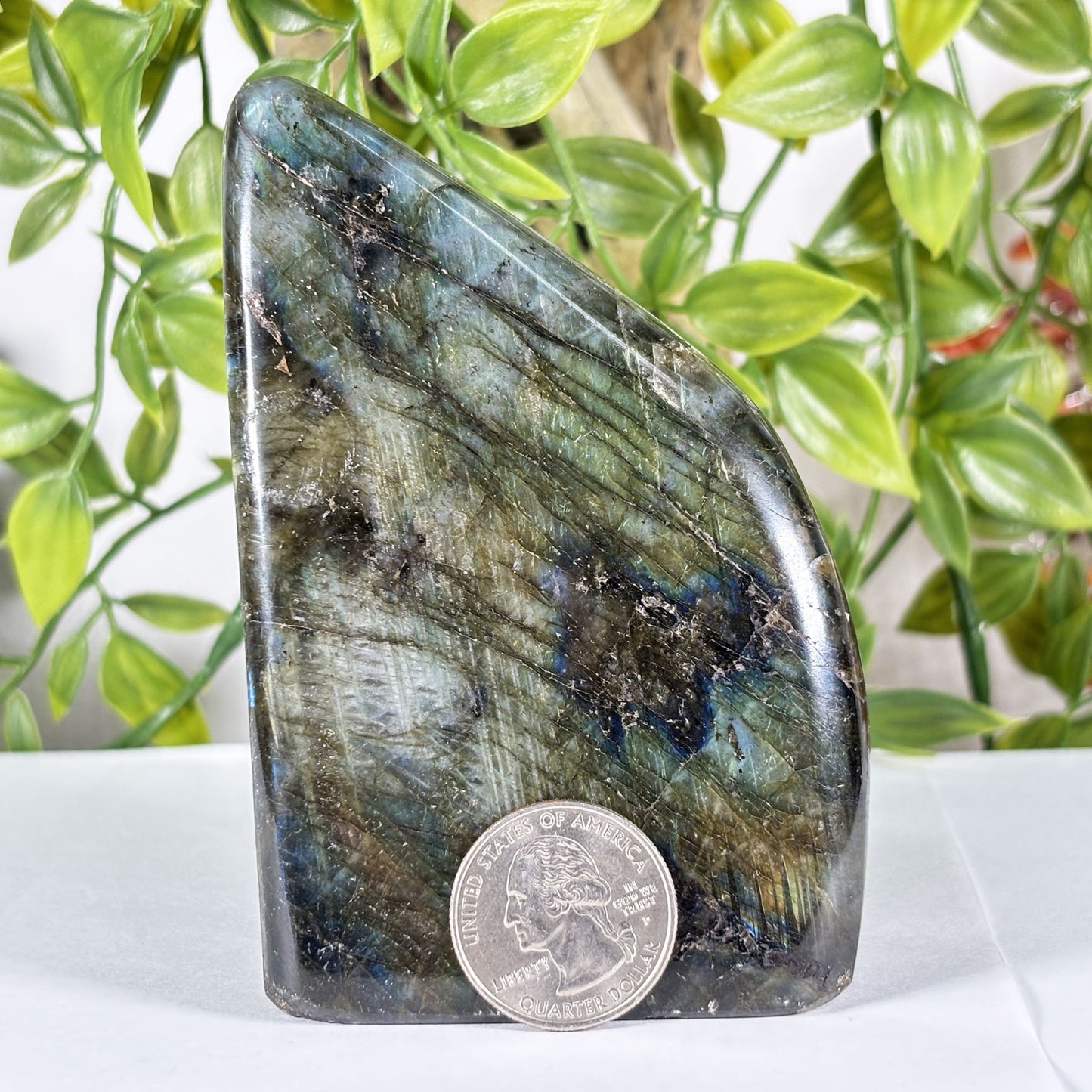 Madagascar Labradorite Freeform 3.75" Polished Crystal Stone Blue Flash Display Specimen